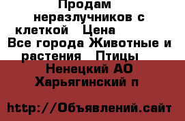 Продам 2 неразлучников с клеткой › Цена ­ 2 500 - Все города Животные и растения » Птицы   . Ненецкий АО,Харьягинский п.